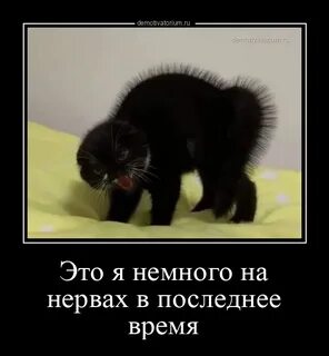 Плясать на нервах