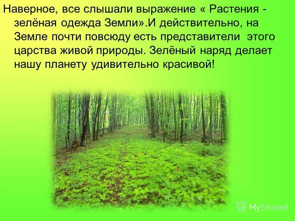 Разнообразие растений 3. Разнообразие и происхождение культурных растений. Отделы растений биология 5 класс таблица. Водоросли мхи папоротники хвойные цветковые. Презентации по селекции.