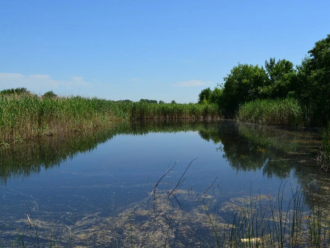 воркута посёлок плотина. река пангола. устье реки лоза. река обь хмао. река керженец сплав.