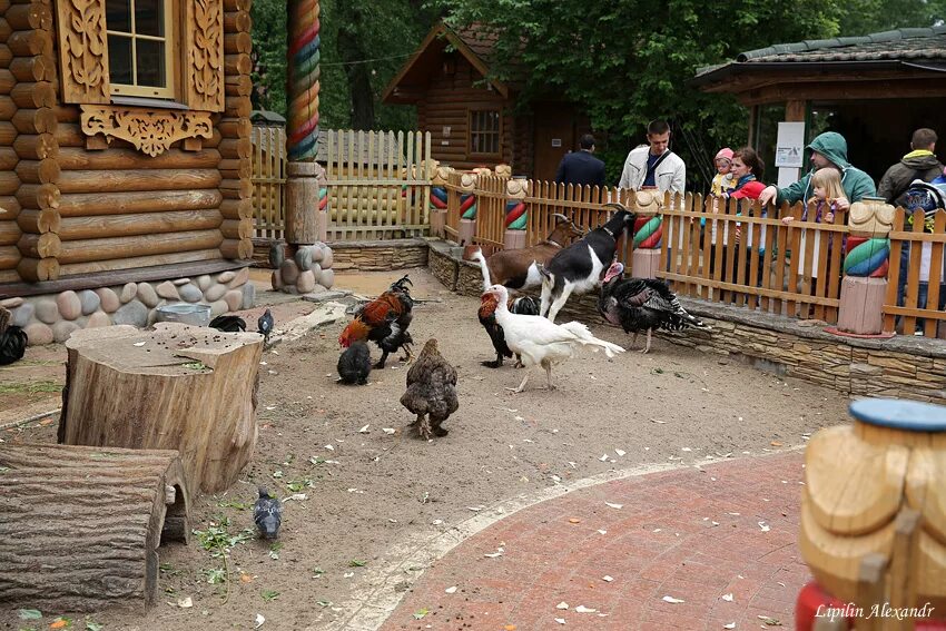 Ленинград зоопарк. Ленинградский зоопарк Санкт-Петербург. Россия Санкт-Петербург Александровский парк 1 Ленинградский зоопарк. Зоопарк Александровский парк. Ленинградский зоопарк контактный зоопарк.