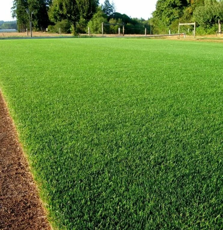 Covering ground