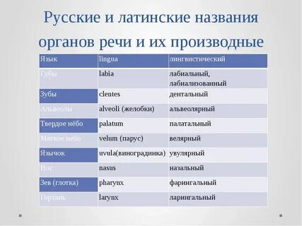 Латинские названия