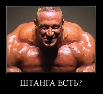 Приколы про качков