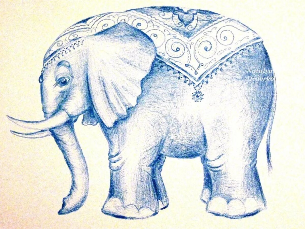 Слон рисунок. Слоны рисунок карандашом. Слоник рисунок. Картинки слона для срисовки. Рисунки ках