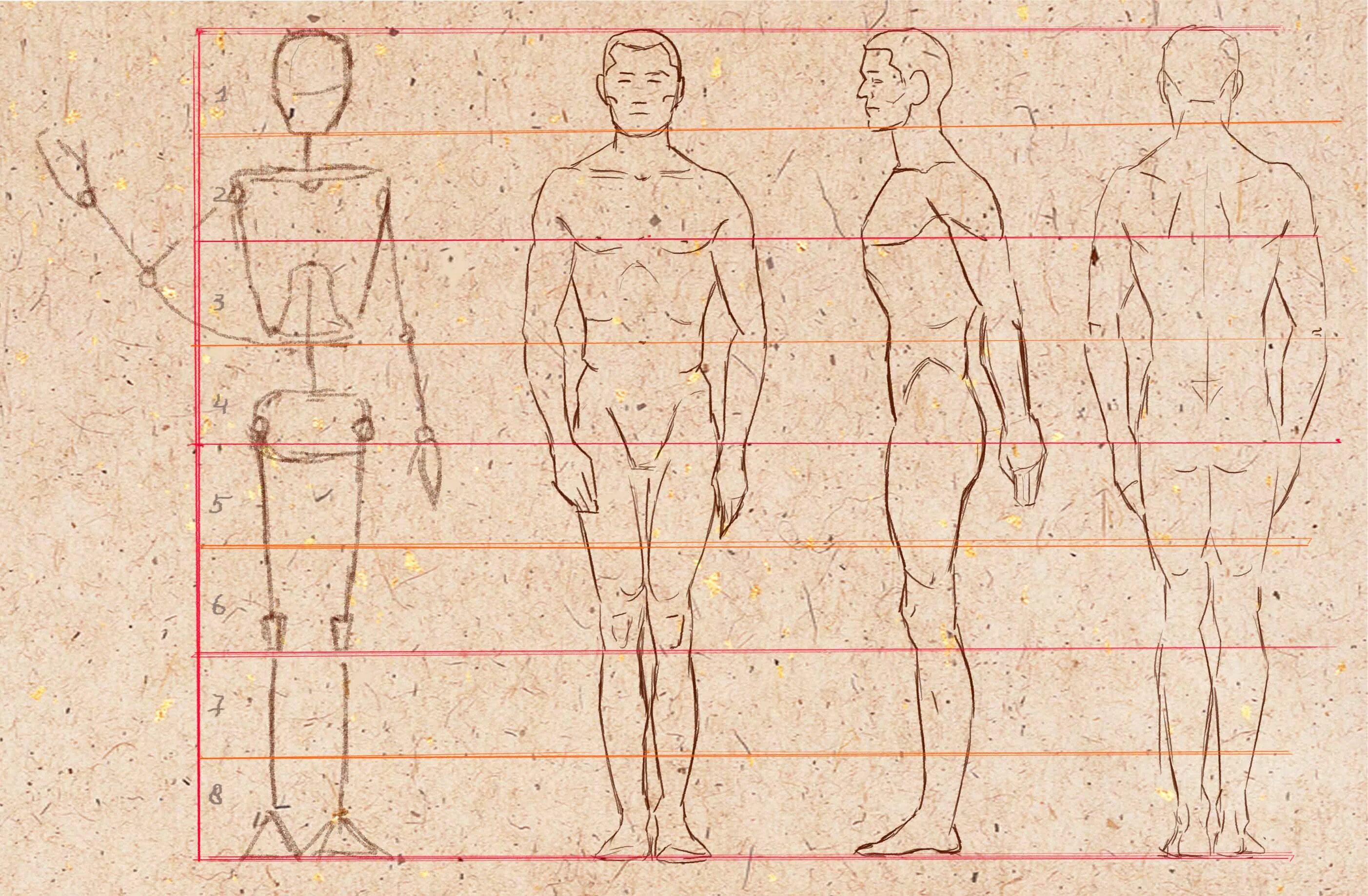 Схема человека. Построение человека рисунок пропорции. Пропорции человеческого тела рисунок. Пропорции человека для рисования в полный рост. Фигура человека в полный рост поэтапно пропорции.