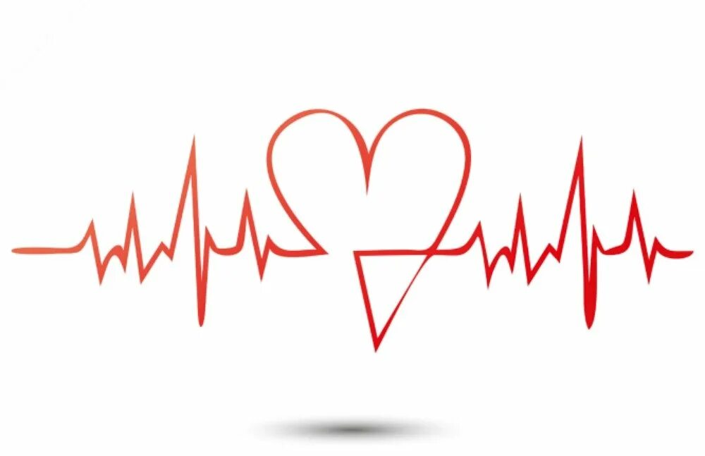 Сердцебиения 23. Кардиограмма. Кардиограмма сердца. Пульс. Ритм сердца.