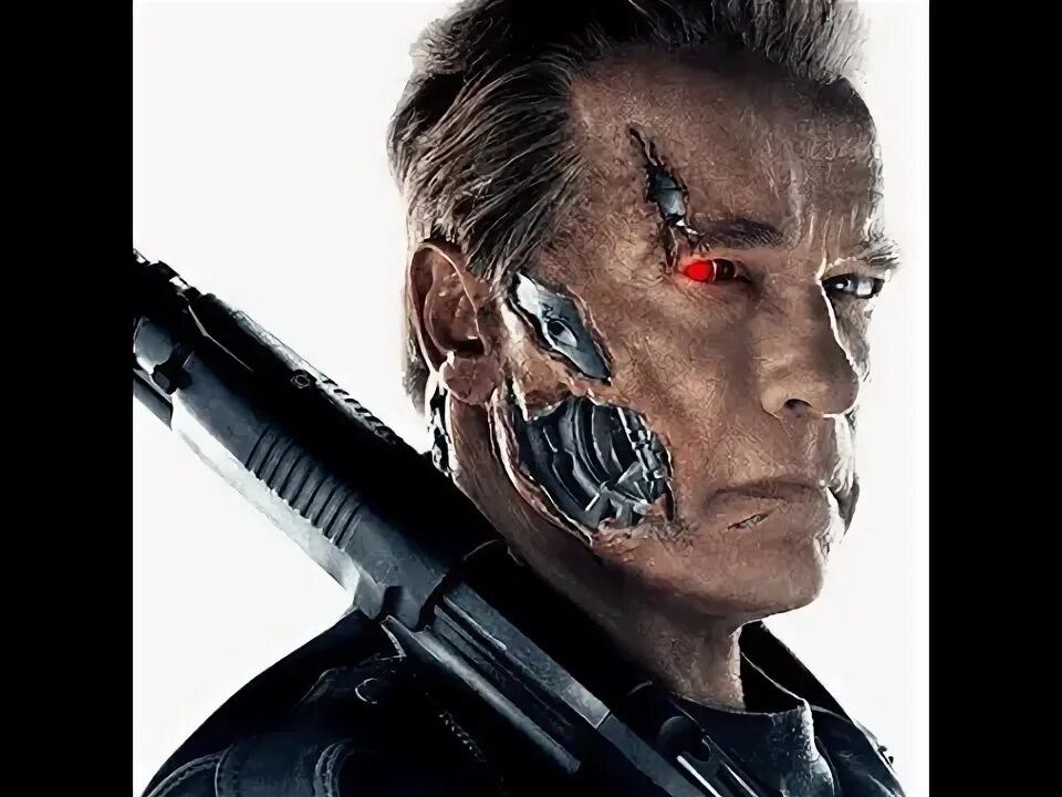 Терминатор папс. Папс терминатор. terminator razbitoe lico.