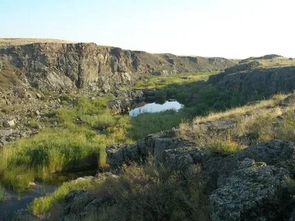 Тургай