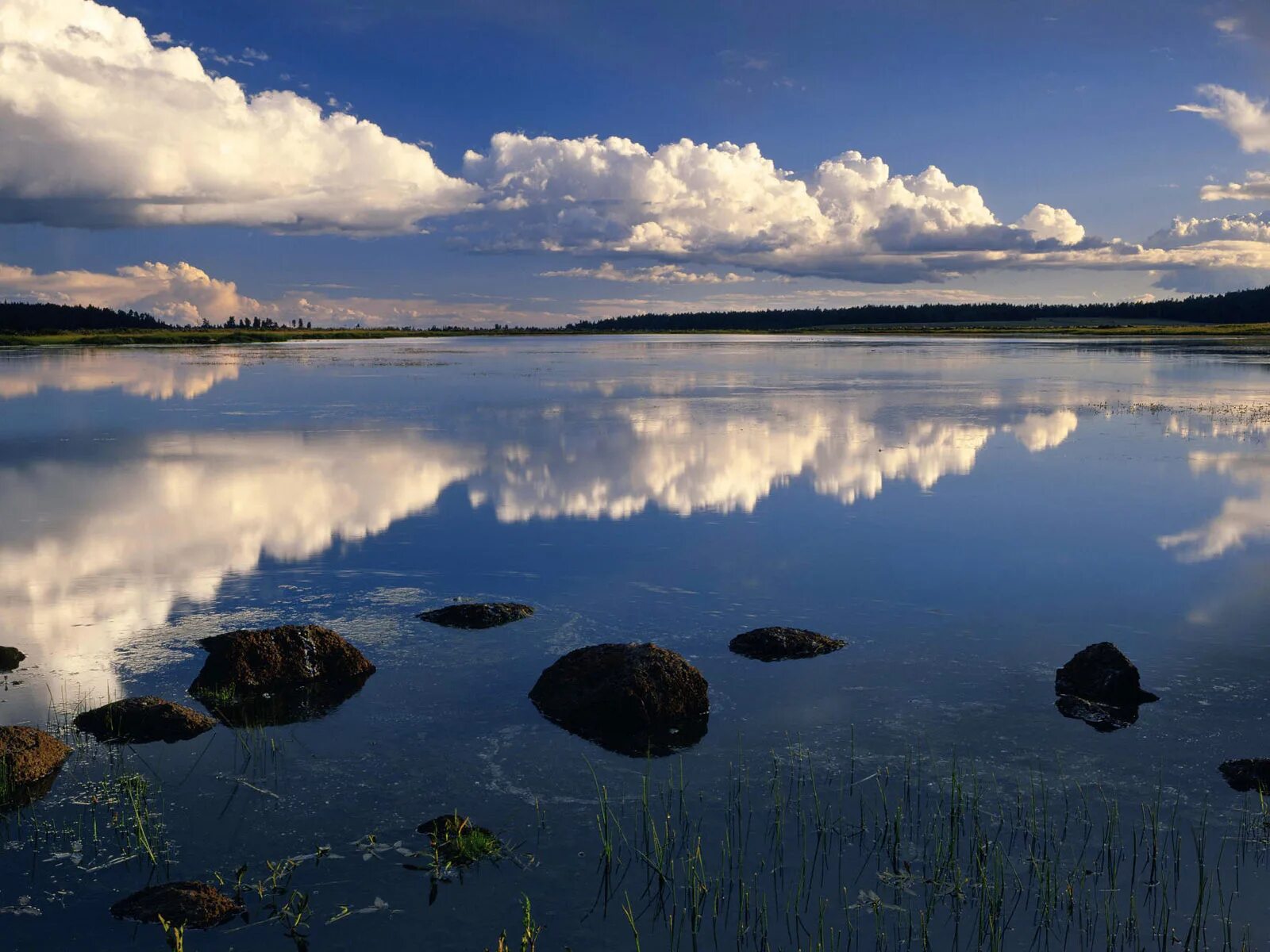 В реке отражается