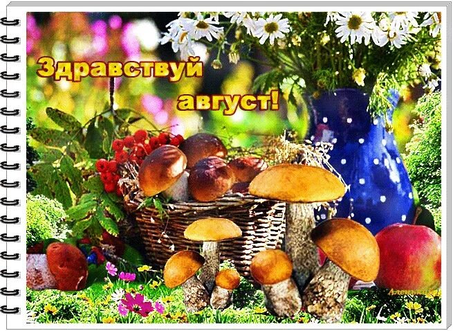 Открытки с последним днем лета. С началом месяца август. Последний месяц лета. С первым днем августа. С последниммесяцм лета.