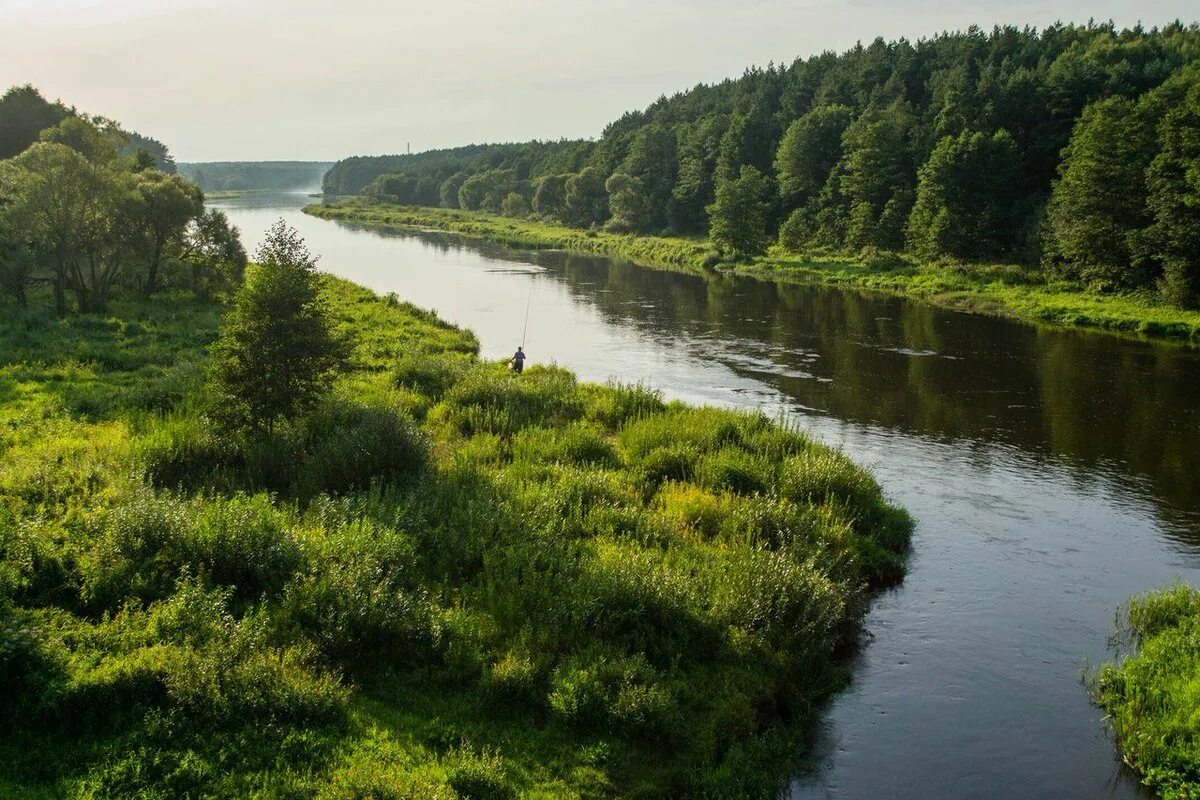 Алей беларуси. Река Вилия в Беларуси. Озеро Вилия Беларусь. Река Неман. Озерцо река Белоруссия.