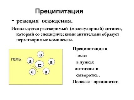 Преципитация иммунных комплексов