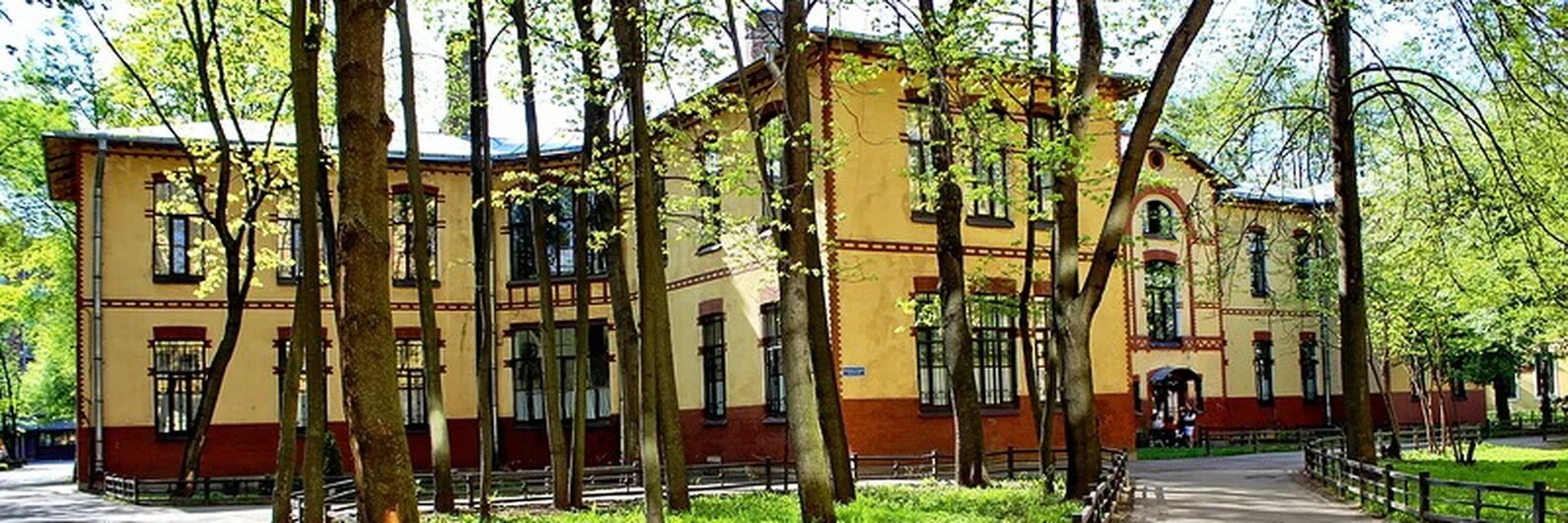 Спбгмпу. Санкт-Петербургский педиатрический университет. Педиатрическая Академия Санкт-Петербург Литовская. Ленинградский педиатрический медицинский институт.