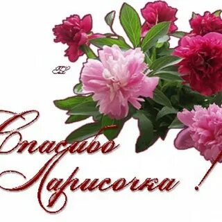 Привет спасибо дорогая
