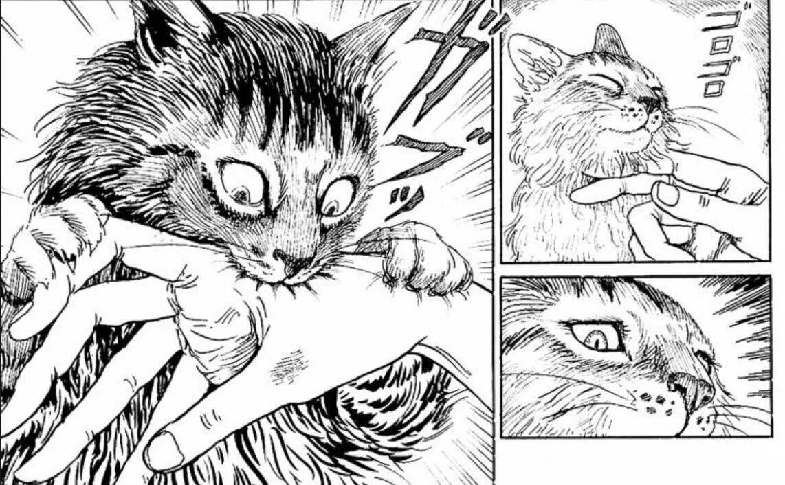 Кукольная кошка манга. Cr32 studio katsudon manabe jouji tokyo myu. Манга с котиками. Кукольная кошка манга. Коты в манге.