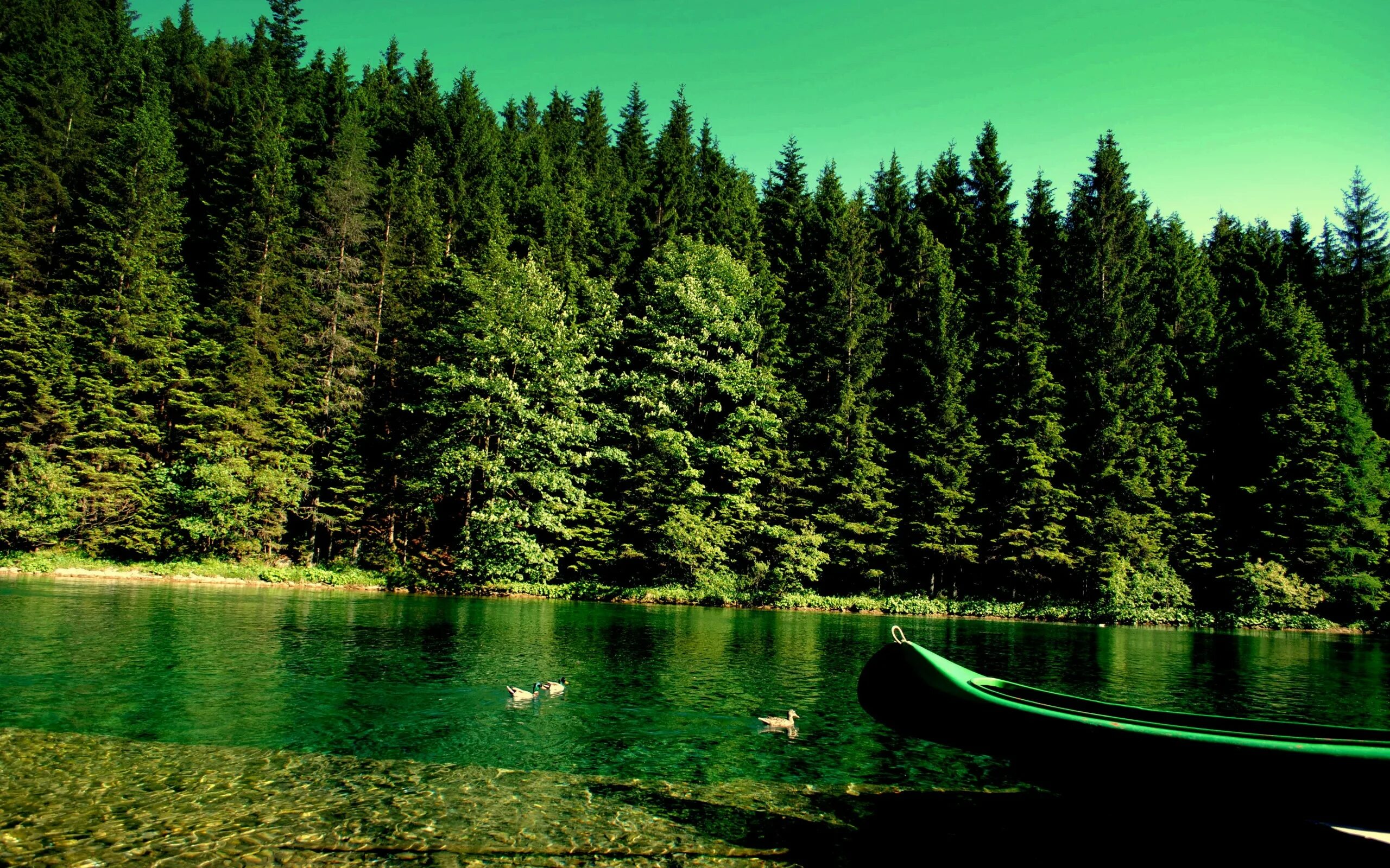 Картинка на рабочий стол во весь экран. Озеро Тургояк. Телецкое озеро. Природа лес. Озеро в лесу.