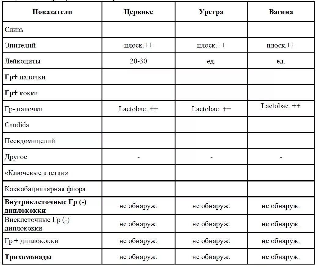 Микрофлора палочки что это значит. Результаты мазка на флору расшифровка у женщин. Исследование мазка на флору лейкоциты норма. Мазок на флору гинекологический расшифровка норма. Расшифровка анализа мазка на флору у женщин.