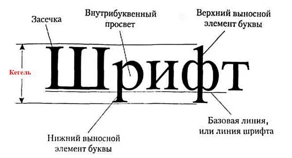 Размер шрифта кегль это. Строение шрифта. Структура букв шрифта. Кегль шрифта это. Строение буквы в шрифте.