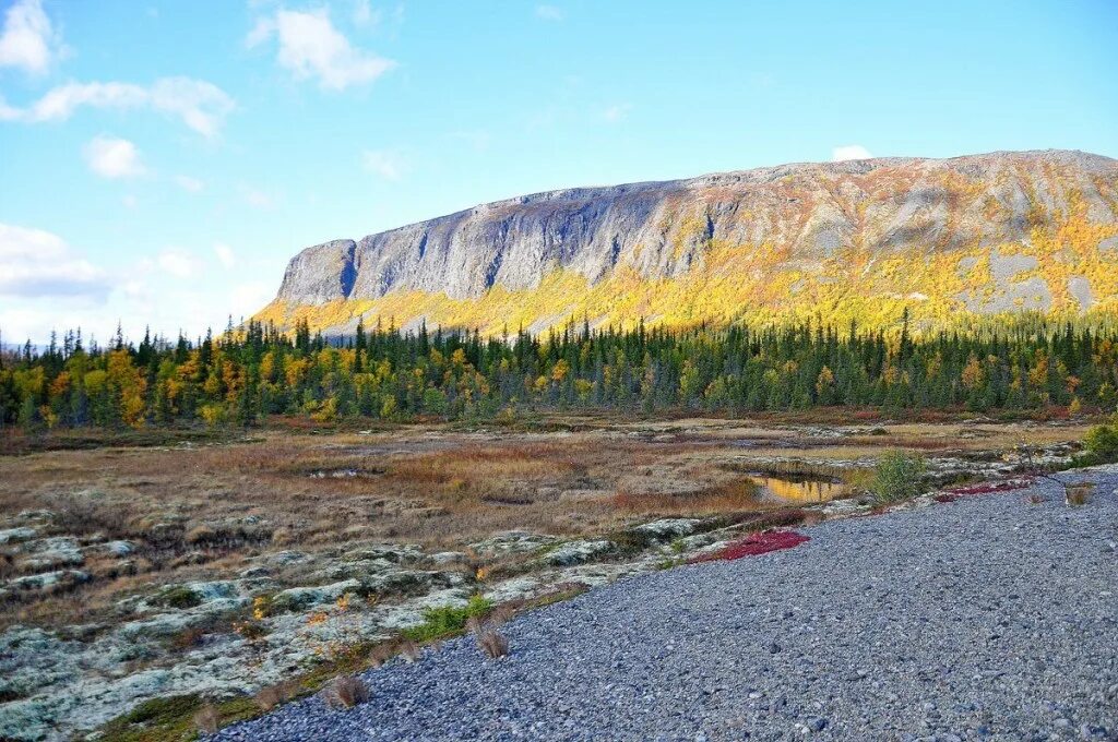 Собь полярный урал осенью. Полярный урал янао. Кольский полуостров ловозерские тундры. Горная тундра билибино. Анадырь тундра летом.