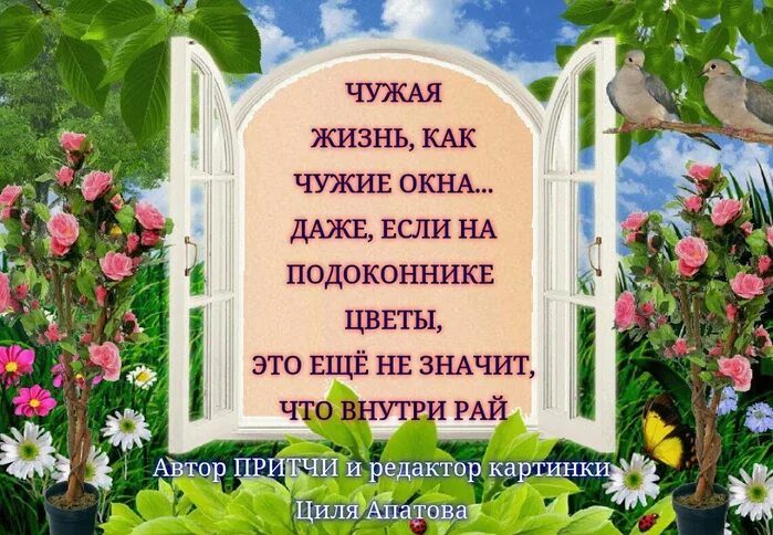 Чужая семья дзен. Чужая семья потемки. Чужая жизнь как чужие окна. Цветы на подоконнике цитаты. Чужие окна высказывания.