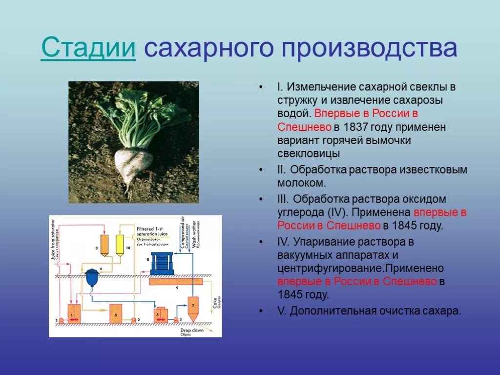 Сахарозу получают только из сахарного тростника. Этапы производства сахара. производство сахара из сахарной свеклы. стадии сахарного производства. сахар этапы производства.