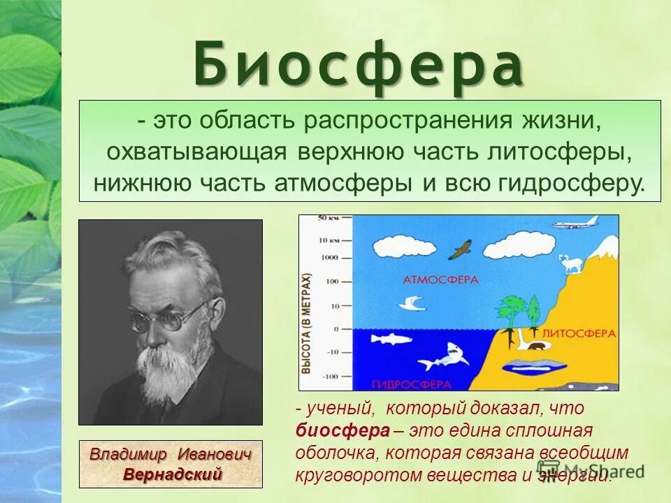 Основателем биосферы является