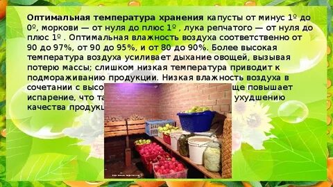 При какой температуре хранится чеснок