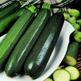 Зеленый кабачок
