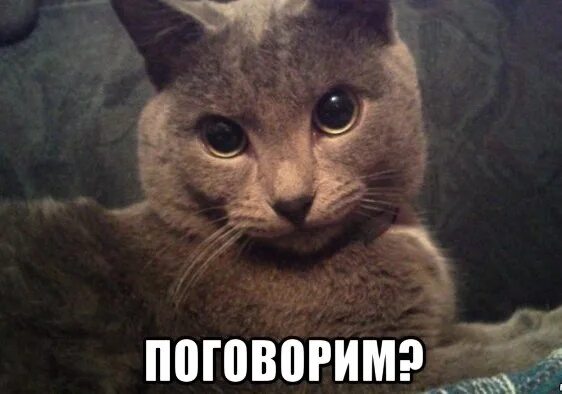 Мем давай мой хороший ты сможешь Света поверь в себя! Ты сможешь!, Мем а ты Рисовач .Ру
