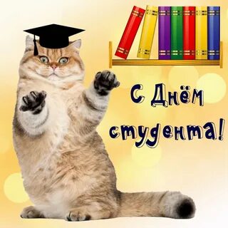 День студента прикольно