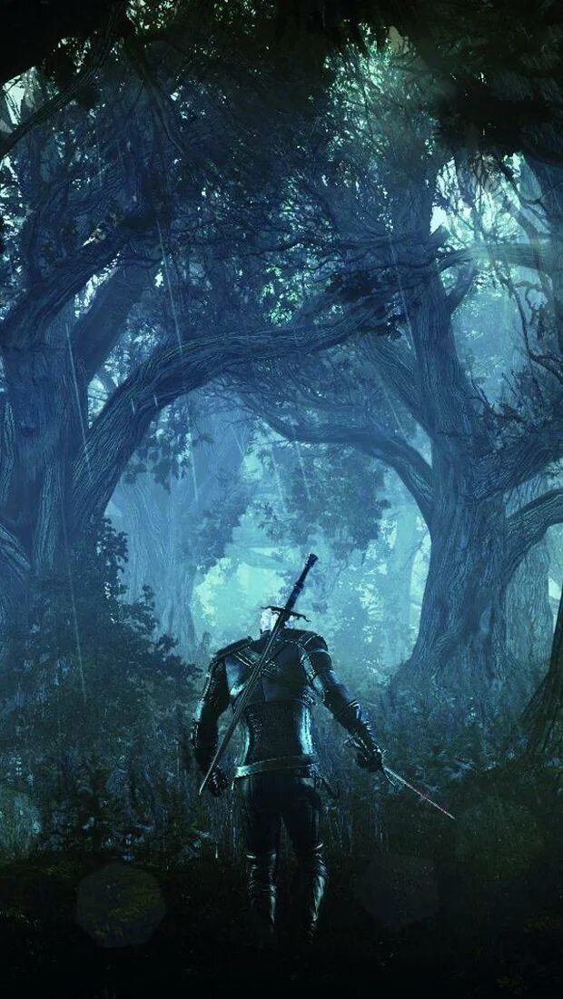 The witcher android. Ведьмак 1080x2340. witcher 3. the witcher 3 wild hunt. тхе витчер 3.