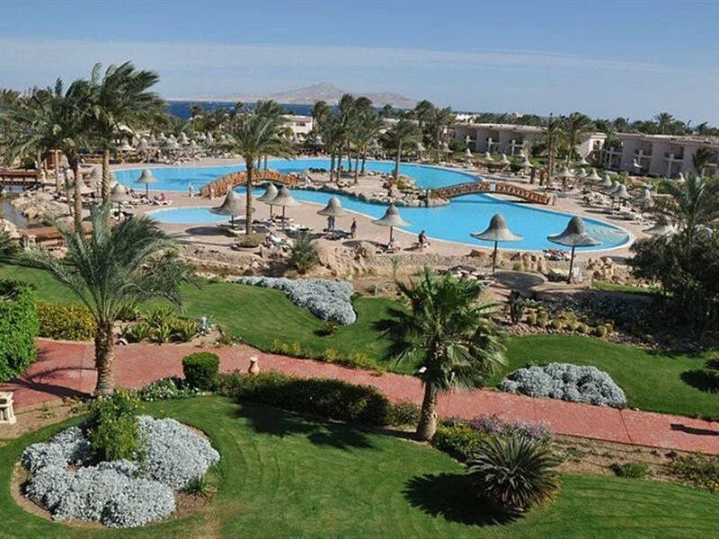 Radisson шарм эль шейх 5. Radisson шарм эль шейх 5