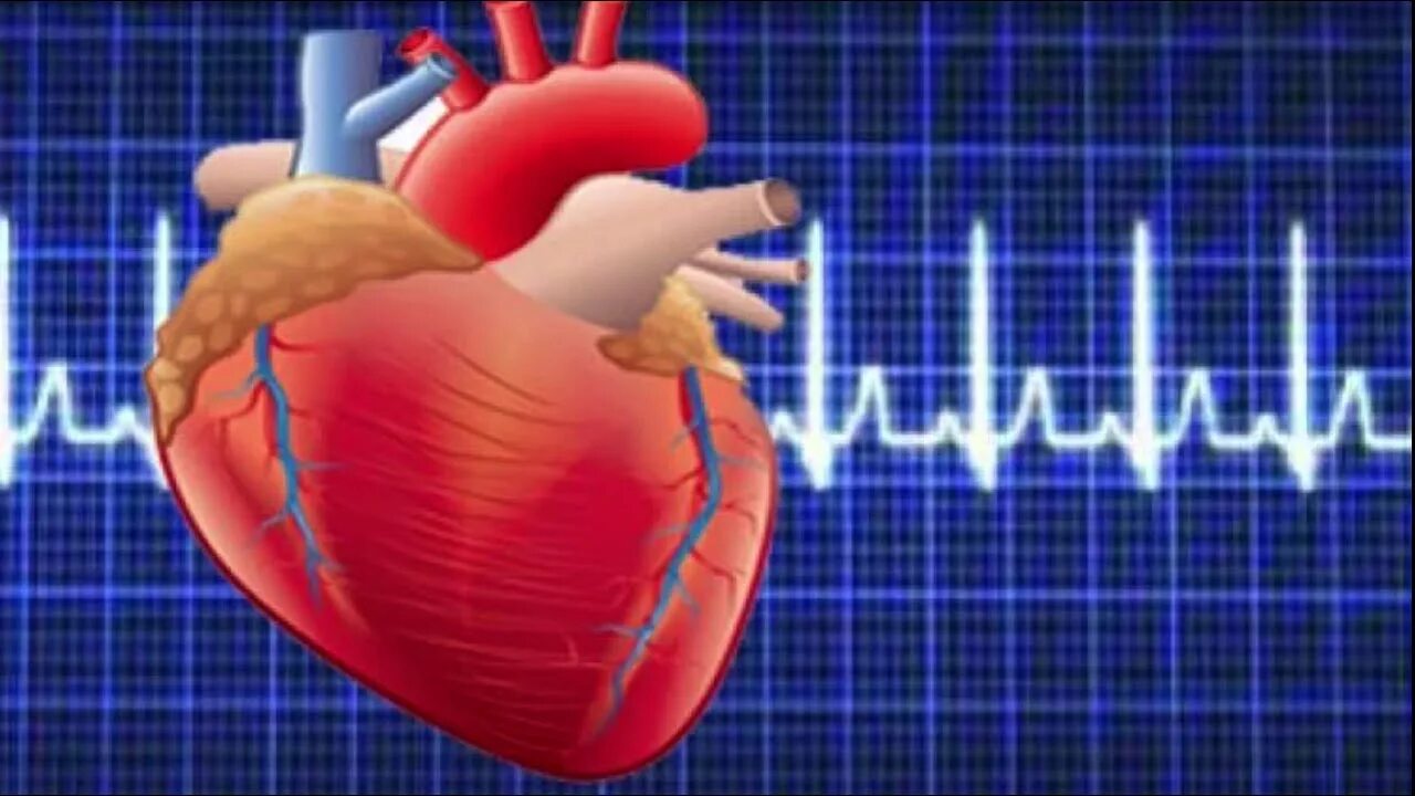 Анемия и сердечно-сосудистая система. Новогодний медицинский фон. Сердечно сосудистая система тахикардия. Учащенный ритм сердца. Учащение ритма сердца.