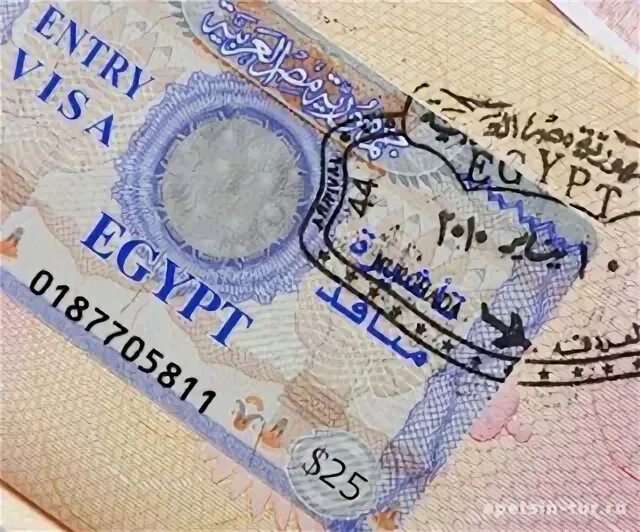 Как выглядит виза в египет. Виза узбекистан. Виза в хургаду. Виза узбекистан. Узбекистан виза в египет.