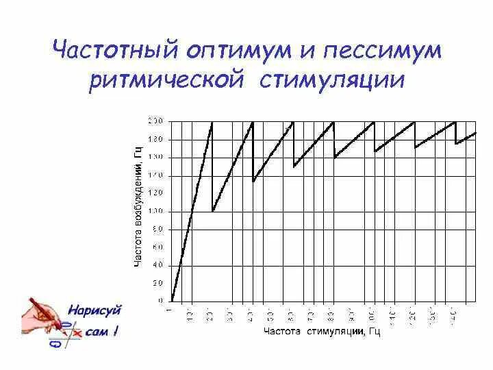Оптимум и пессимум частоты раздражения. Частотный оптимум и пессимум ритмической стимуляции. понятие об оптимуме и пессимуме частоты и силы раздражения. механизм оптимума и пессимума.