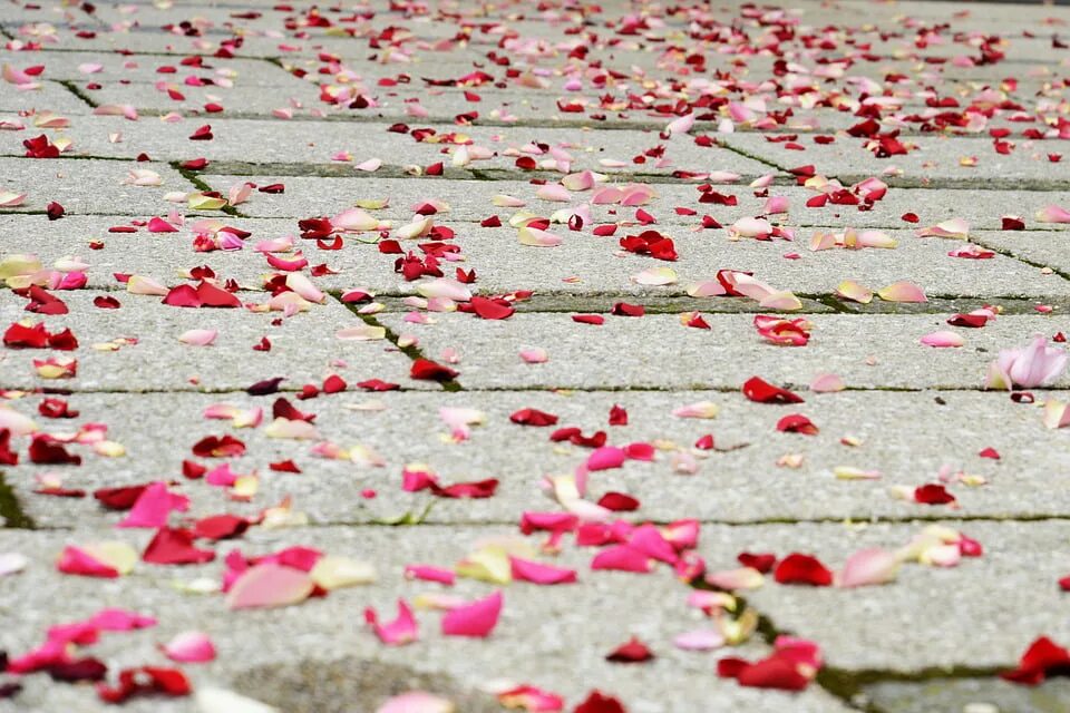 Rise floor