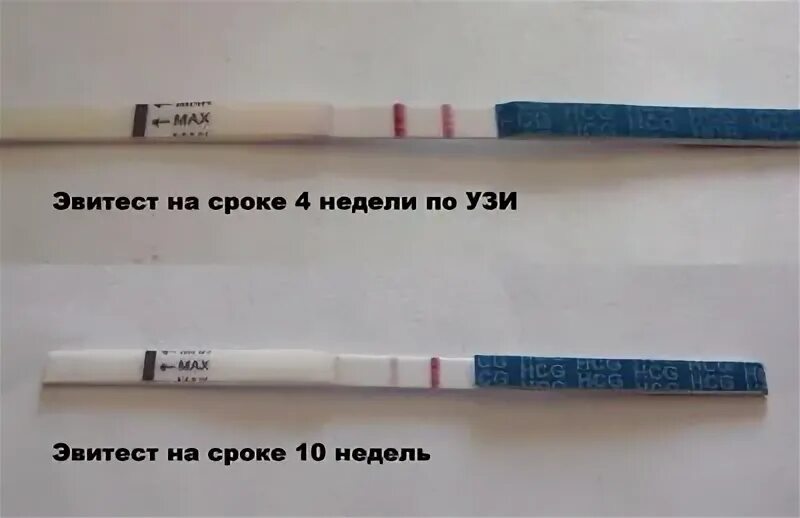 4 неделя тест. Тест на 4 неделе. 4 неделя беременности тест. тест на беременность положительный 4 недели. тест на беременность срок 4 недели.