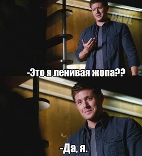 В этом мире лишь ленивый не пьет