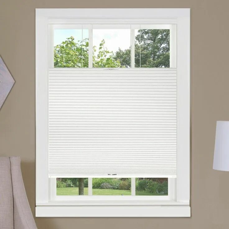 This window