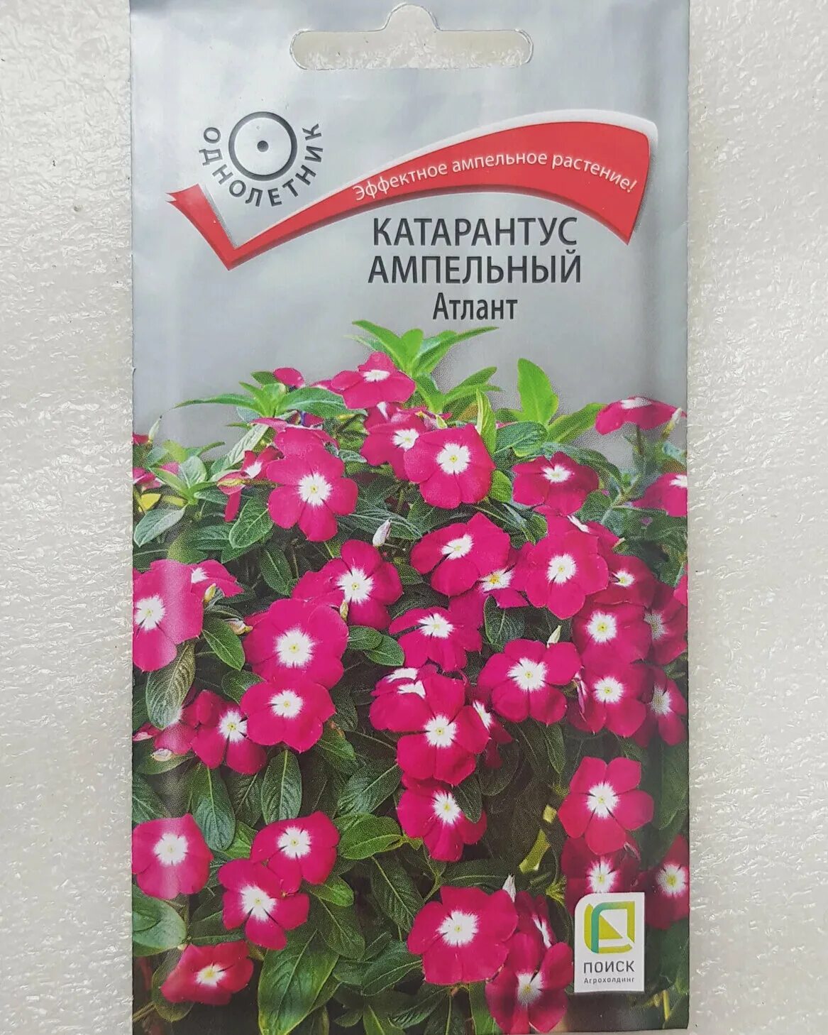 Катарантус ампельный Медитерранеан