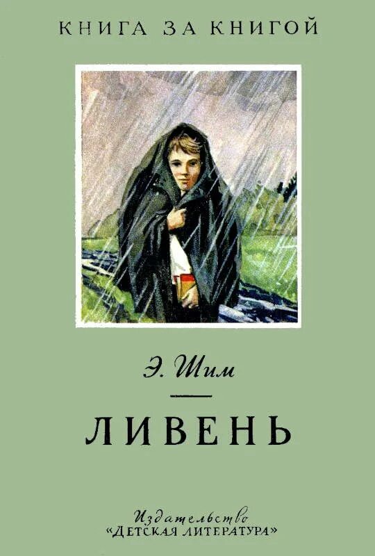 Писательница сандра браун. Сандра браун. Книга дождь людмила дунаева. Книга под дождем. Книга ливень автор.