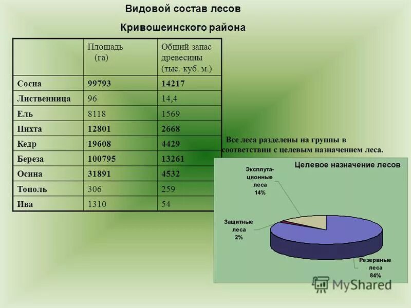 Почему россия лесная держава