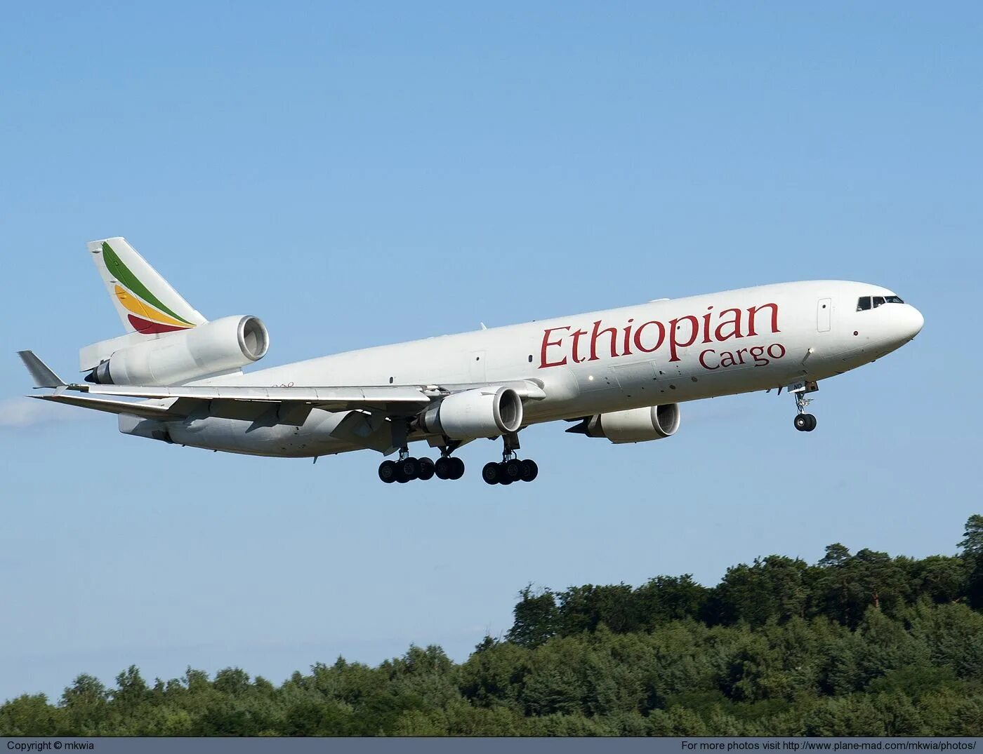 Ethiopian airlines отзывы. Ethiopian Airlines самолеты. Ethiopian Cargo. Люксембург карго. Самолет Ethiopian Airlines Flight 409.