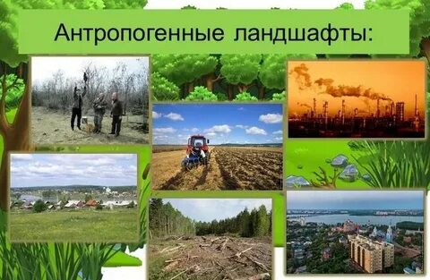 Назовите виды антропогенных ландшафтов