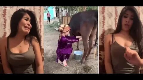 Uzbekcha videolar