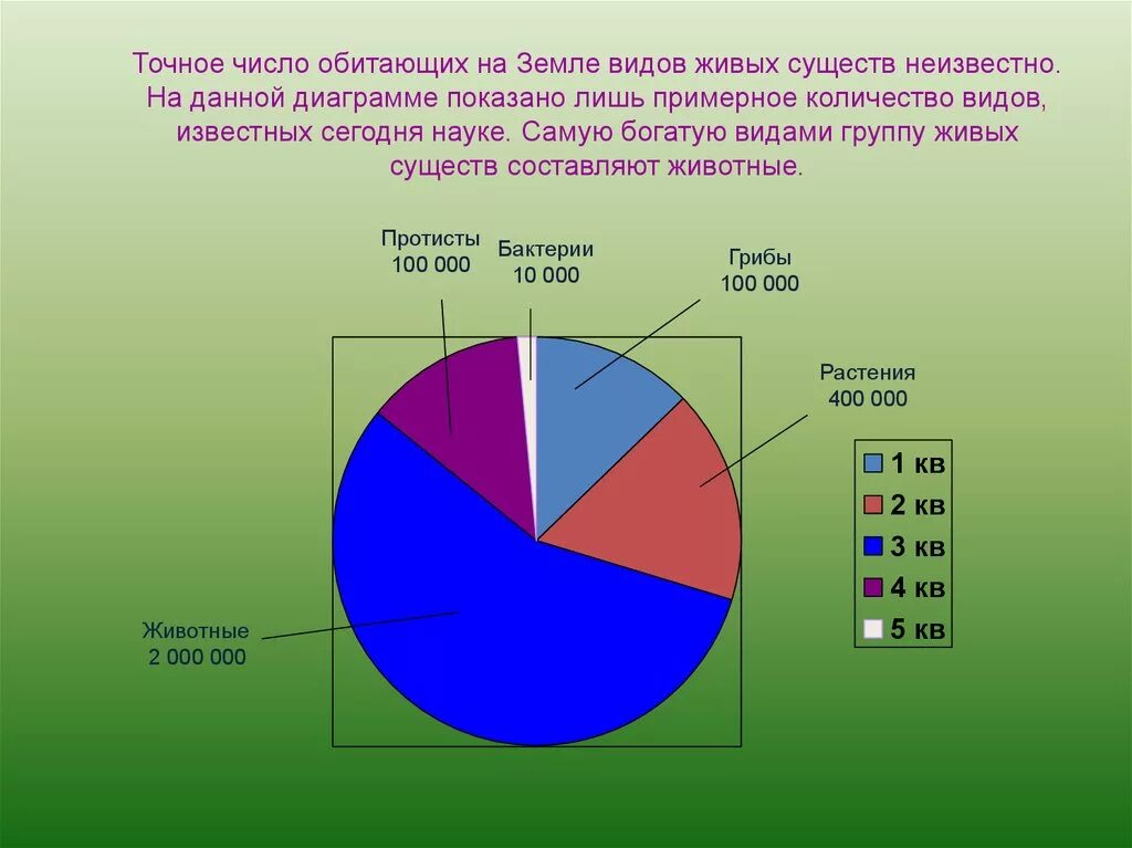 Количество живых организмов на земле. Численность видов животных на земле. Сколько живых организмов на зе. Число видов растений. Диаграмма видового разнообразия.