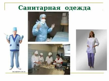 Санитарная одежда виды