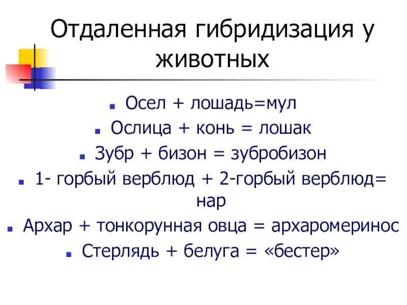 Примеры отдаленной гибридизации животных. Отдалённое гибридизации. примеры отдалённо 7ибритизации. отдаленная гибридизация. отдаленная гибридизация примеры.