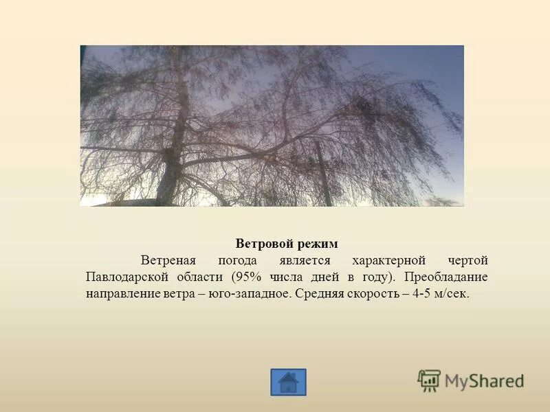 Пасмурно и ветрено. Дует сильный ветер. Ветряной предложение. Стихотворение про ветер. Ветреный день.