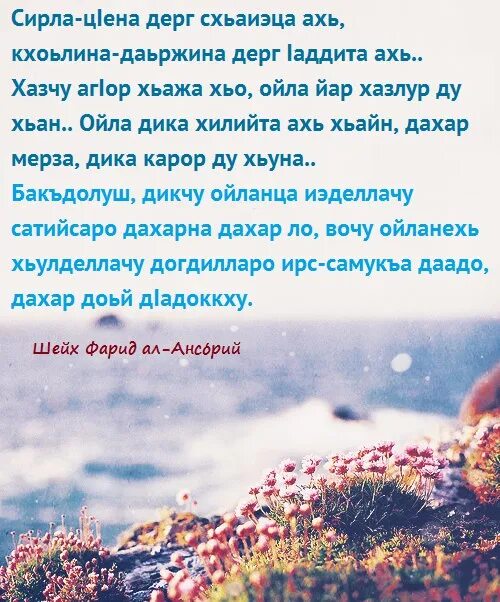Виц лур ву. Хьоме перевод с чеченского на русский. Хьо. Хьо мил перевод. Стихи сан йиша текст.